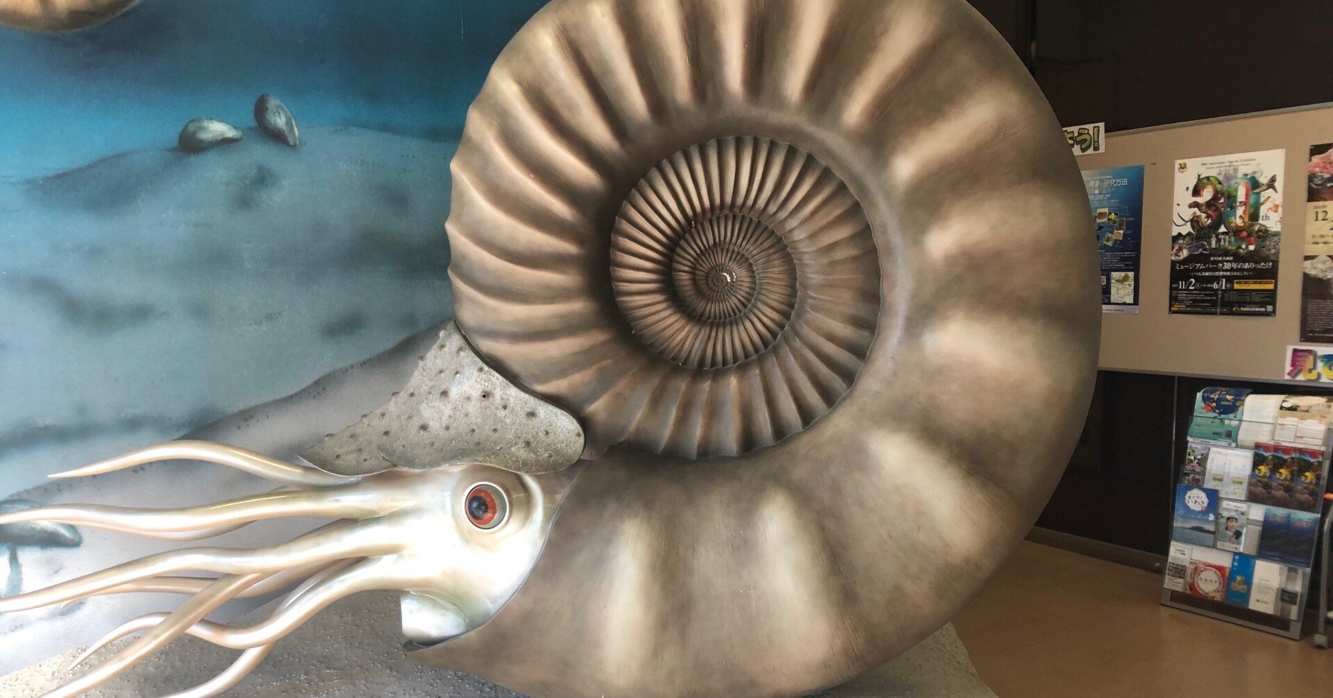 化石の発掘体験に行ってきました｜科学工作の世界