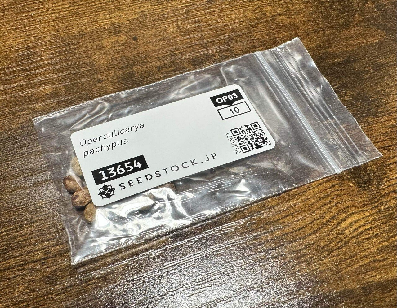 SEEDSTOCKで種を購入｜2Lulu