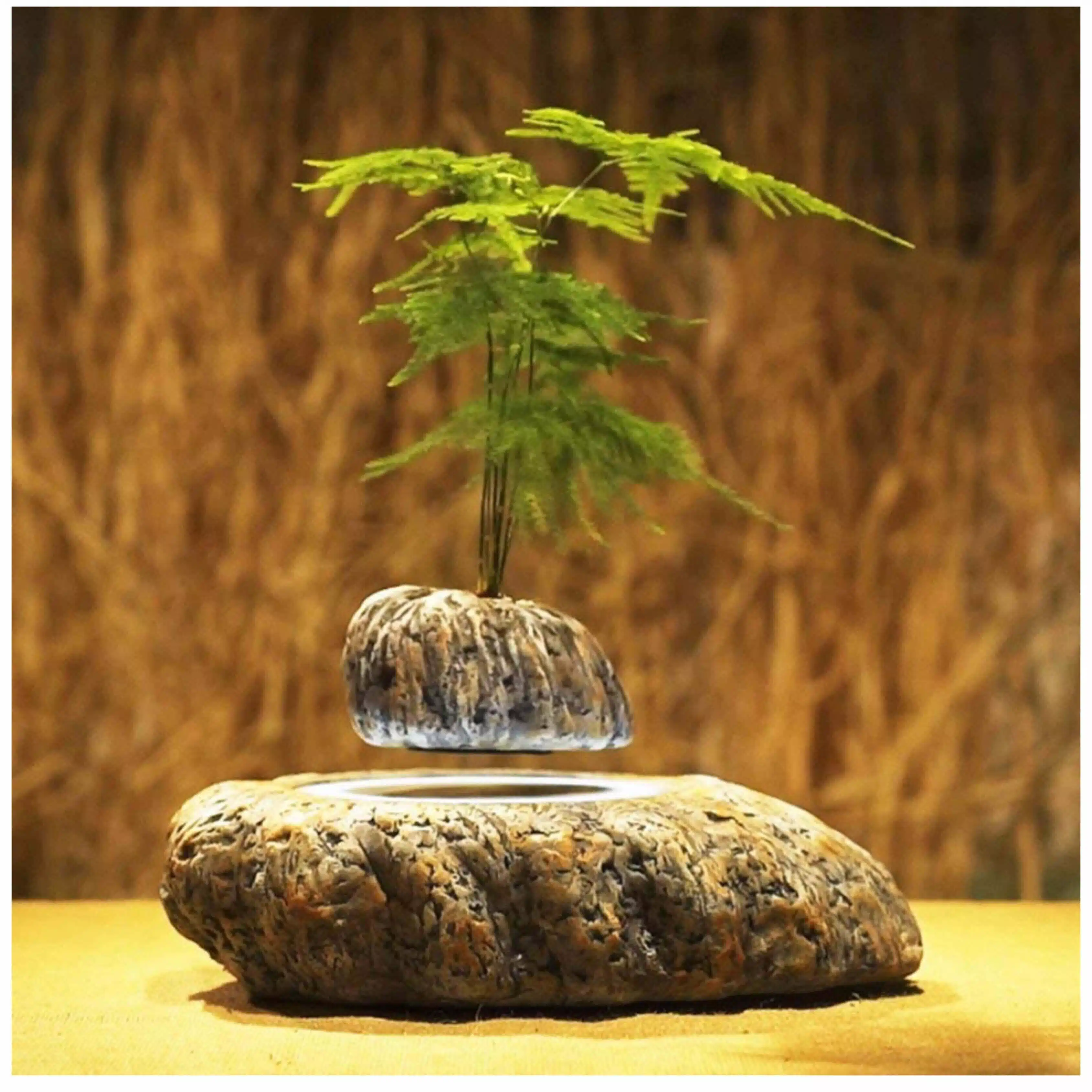 ひろろ