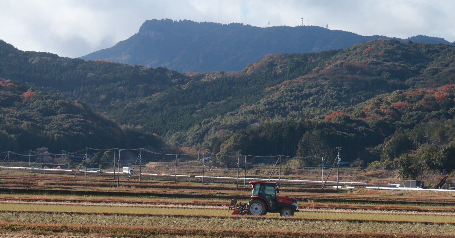 新規就農者への道筋