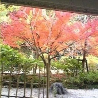 ぢ〜もみ 競馬倶楽部