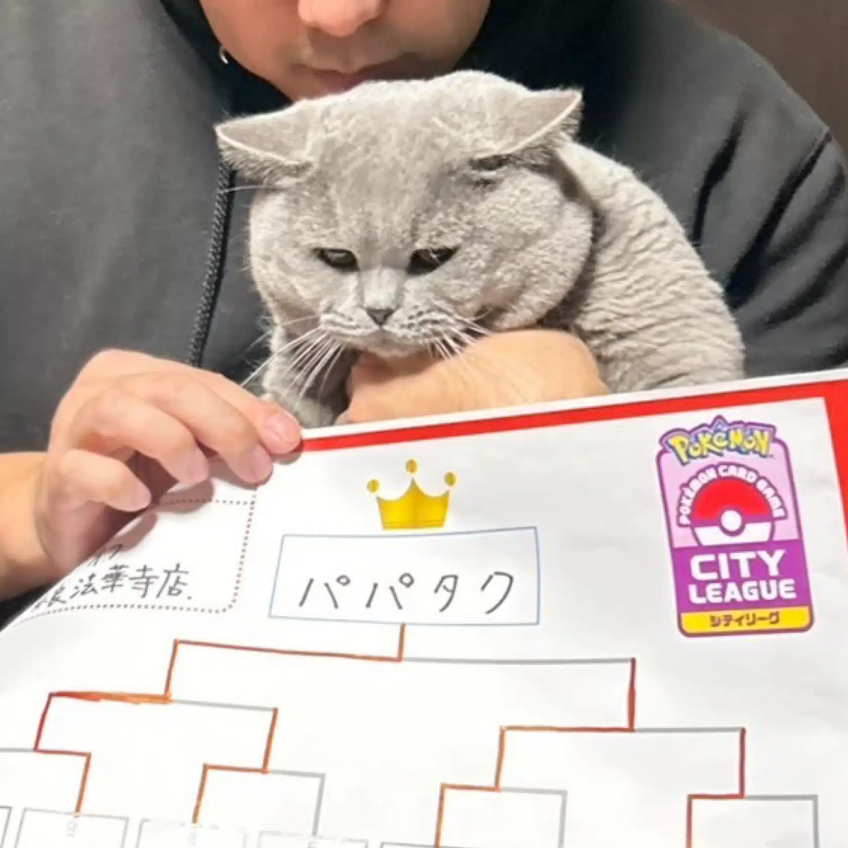 ぱぱたく
