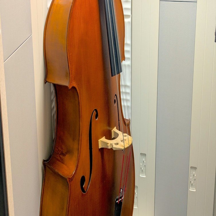 雑なコントラバスのサイズについて｜Shin Sheena