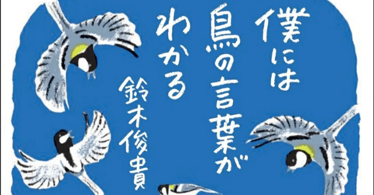 I Can Understand Bird Language｜atsuki