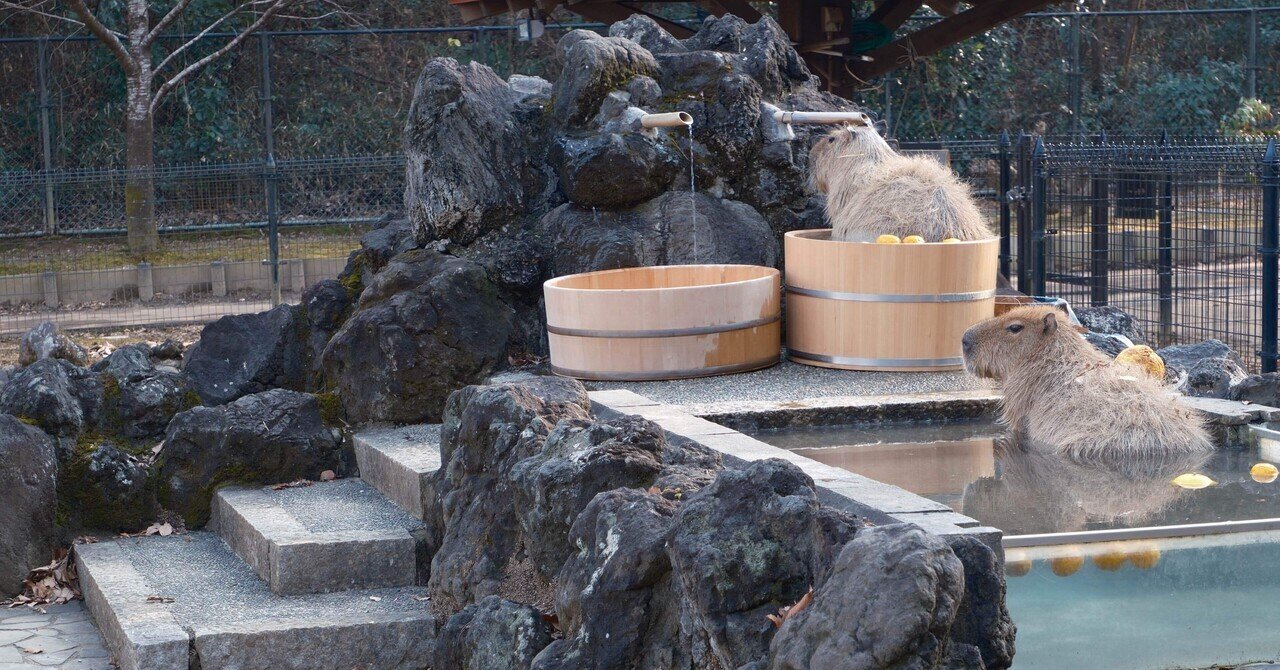 X-T50】カピバラ温泉♨️｜meni