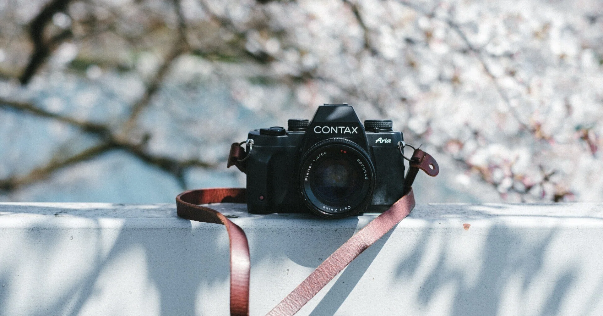 CONTAX Aria — 音と空気を写すフィルムカメラ｜寺﨑 司 / Tsukasa terasaki