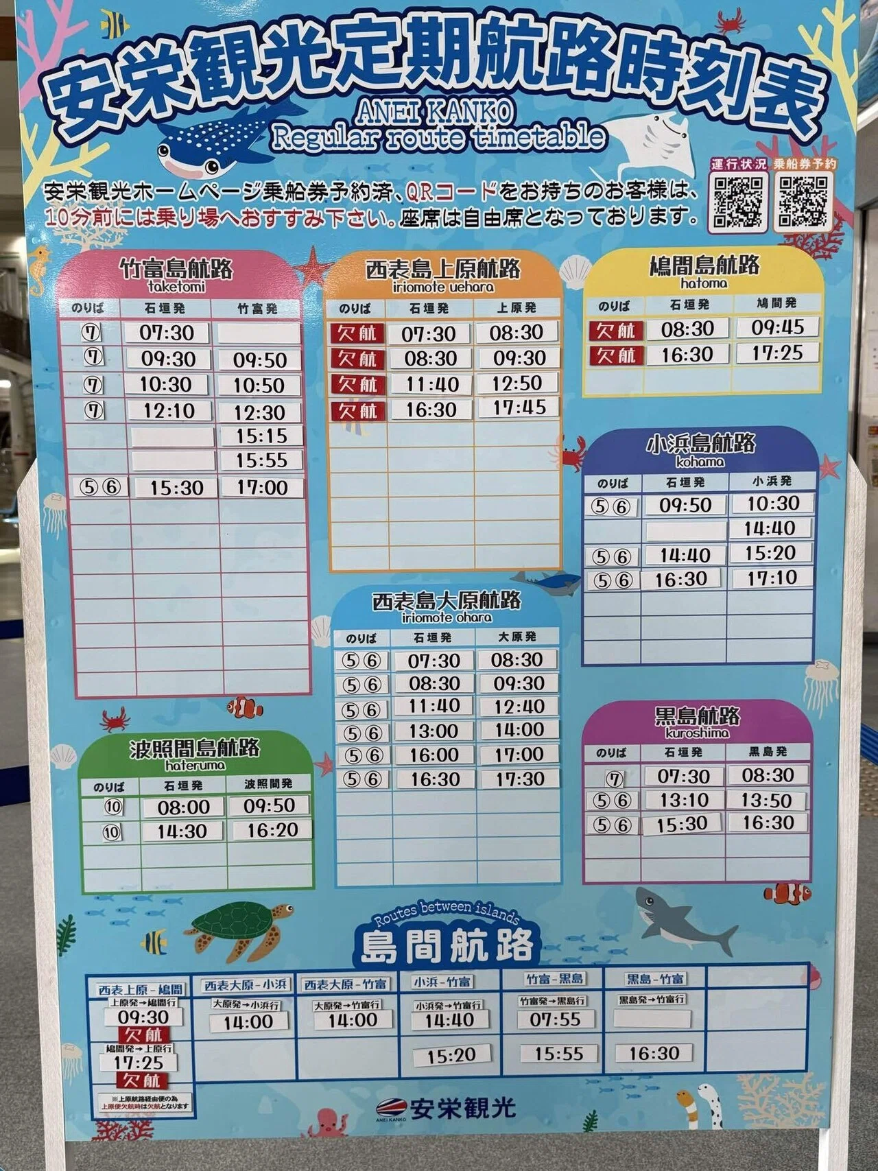 日本最南端波照間島のひとり旅2024.12.9-12①｜やさしい場所 MEI