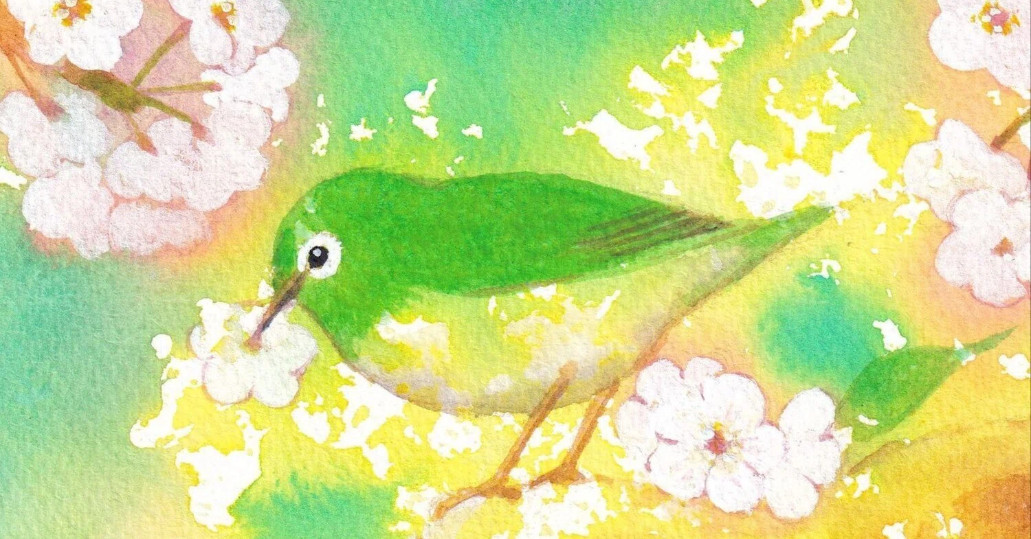 水彩画 メジロ｜ちろ