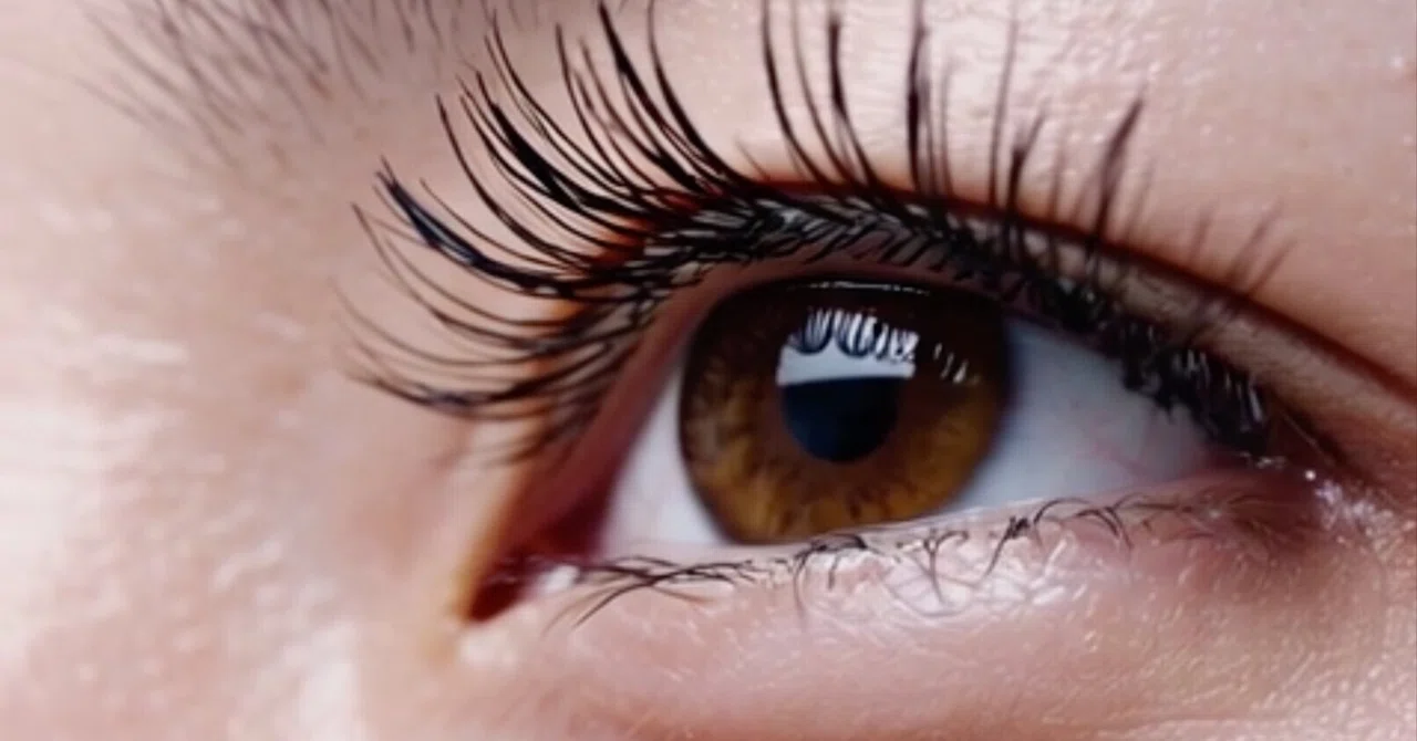 Eyes without cloudiness are wonderful｜西田親生