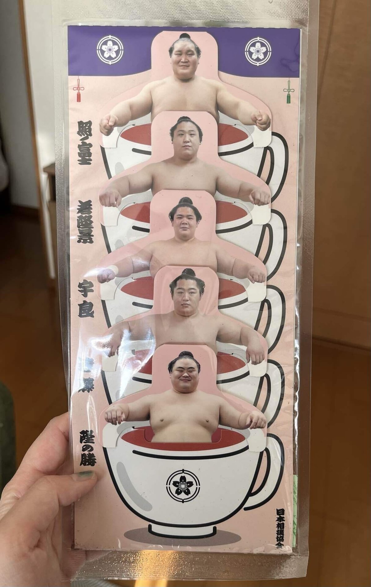 地味奥様 下着姿 