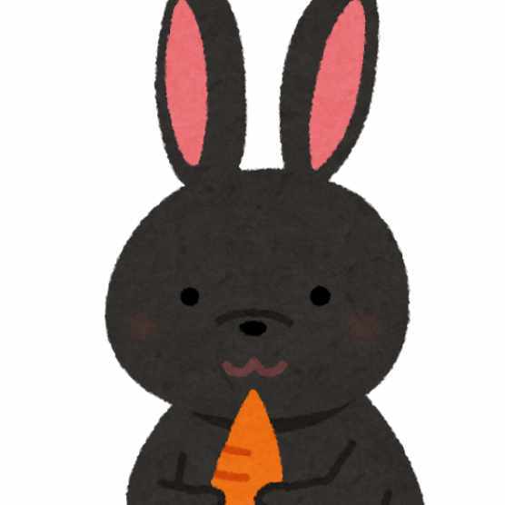 黒うさぎ