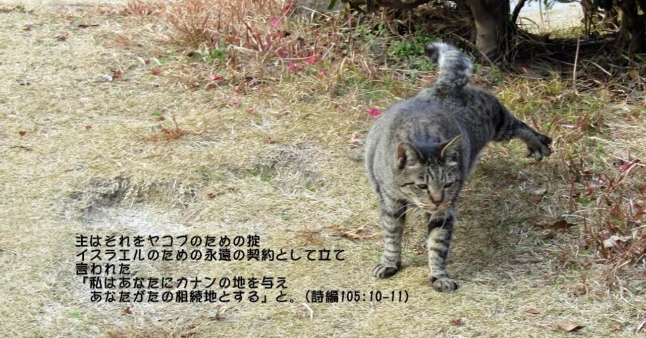 アブラハム以来のイスラエルの歴史に加わる|たかぱん