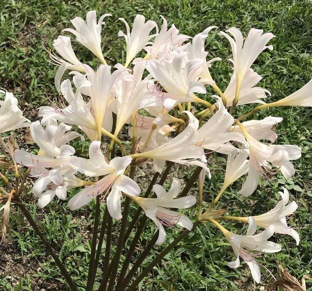 画像7