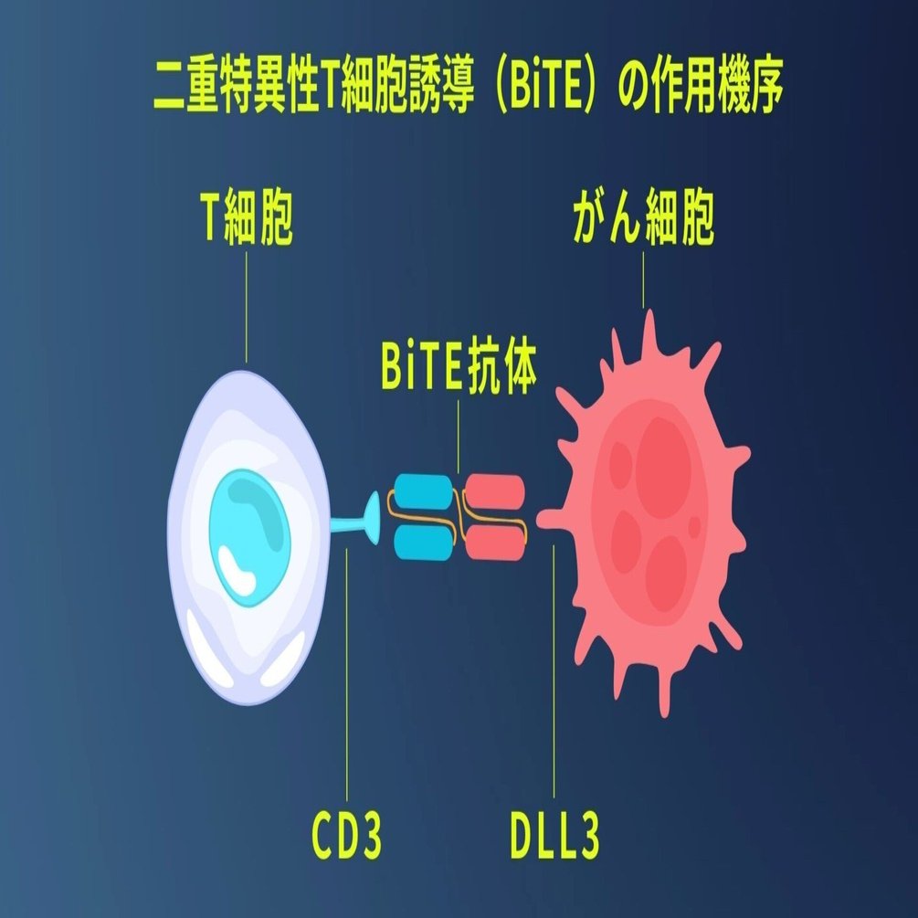 DeLLphi-301】肺癌はどんどん新たな免疫治療が承認されています｜米国