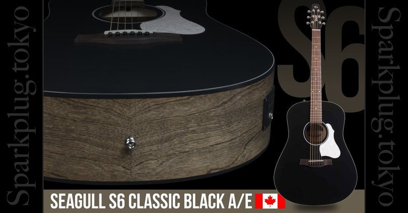 アコースティックギター　シーガルS6クラッシック　ブラック　エレアコ アコースティックギター シーガルS6クラッシック ブラック エレアコ