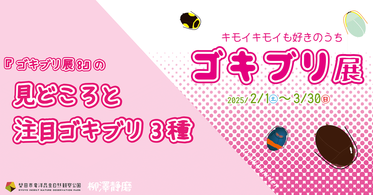 日本産ゴキブリ全種図鑑 - 生物向上委員会
