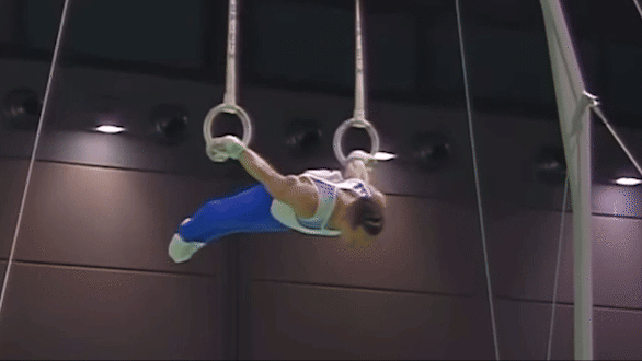 Miniatura de The Zanetti