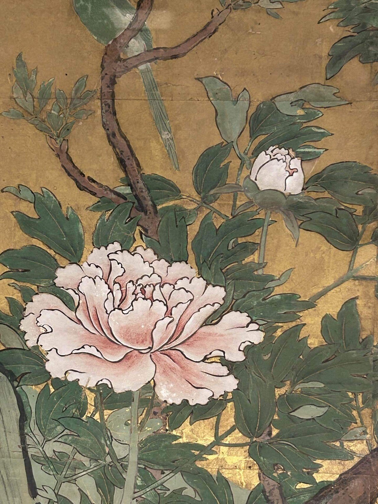 牡丹図／狩野山楽@東京国立博物館｜blanche