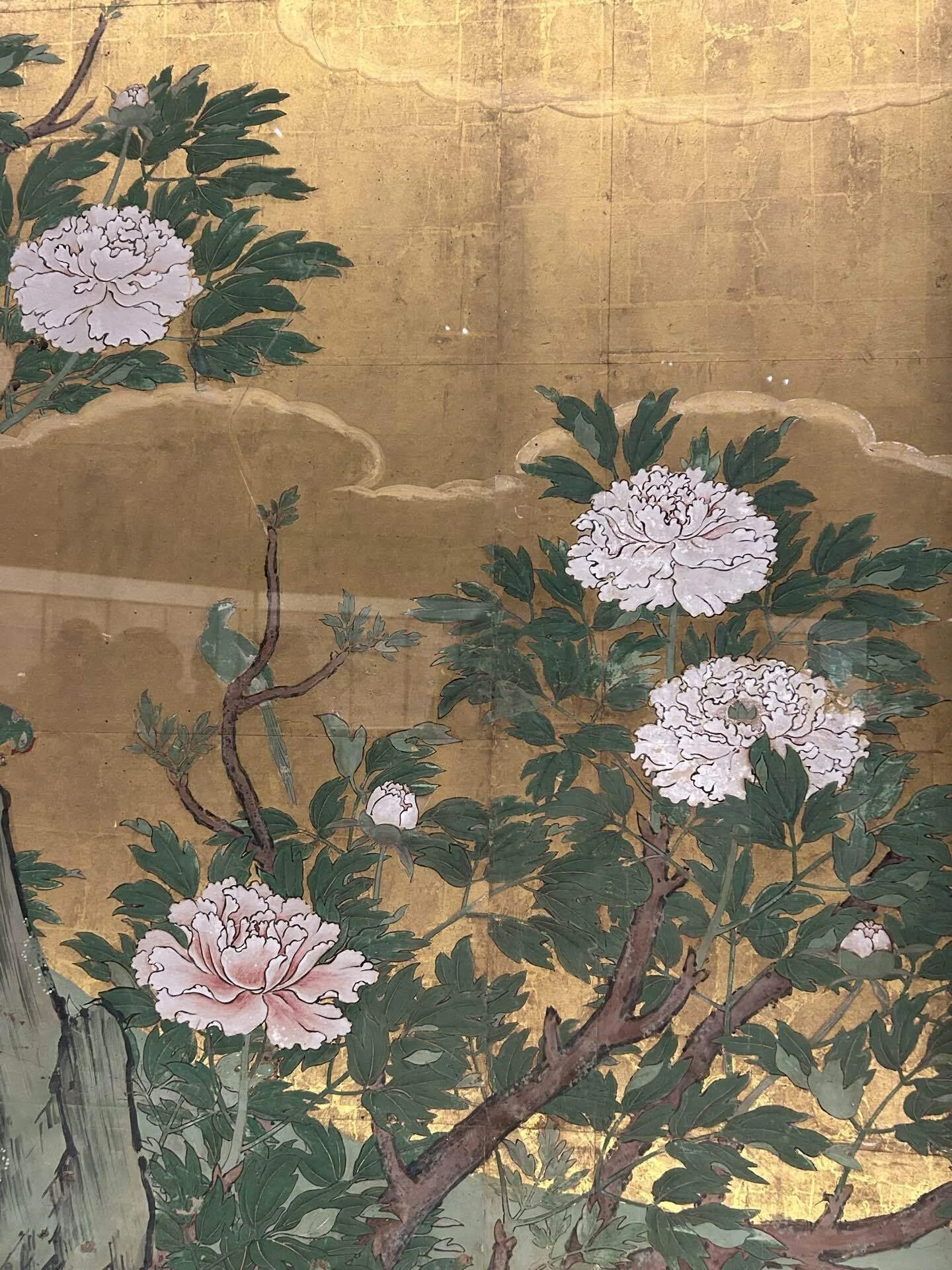牡丹図／狩野山楽@東京国立博物館｜Snow❄️Yukihikari
