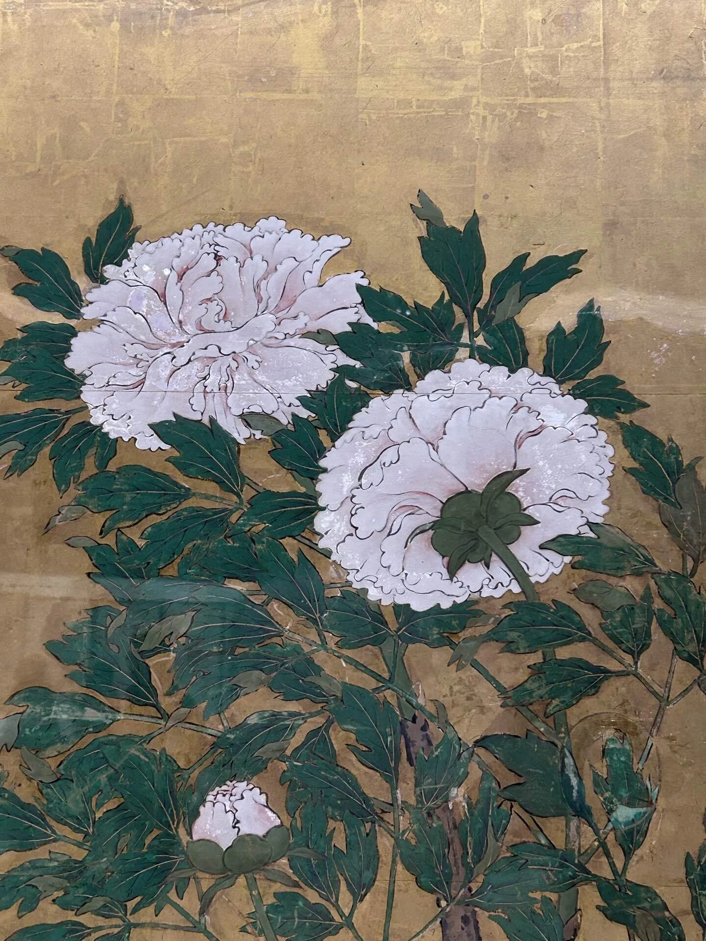 牡丹図／狩野山楽@東京国立博物館｜Snow❄️Yukihikari