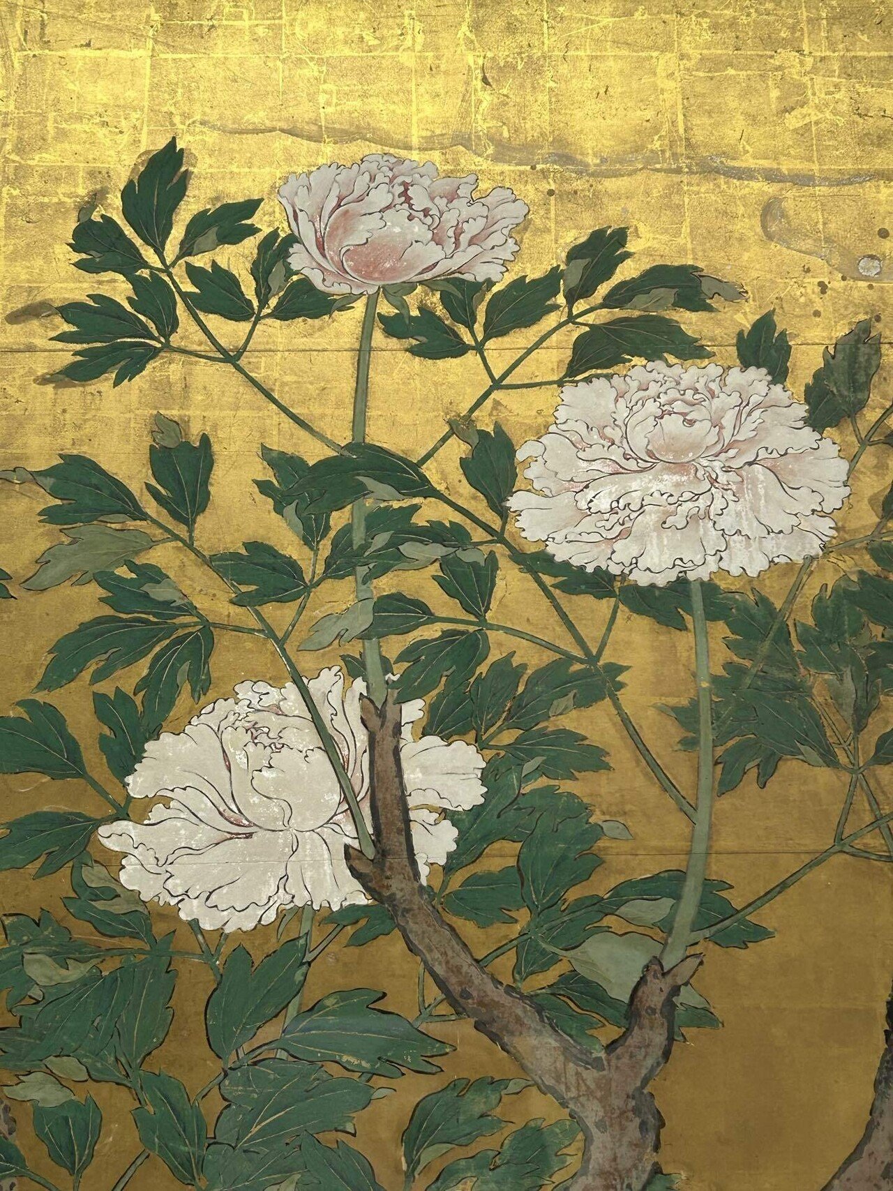 牡丹図／狩野山楽@東京国立博物館｜blanche