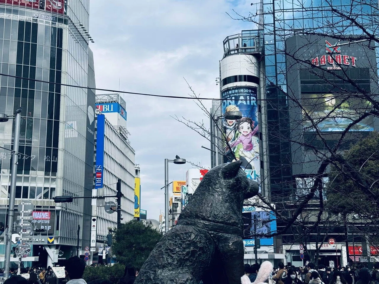 SHIBUYA SKY』で渋谷の空中を制覇！？ -WAGNAS1月の企画レポート前編