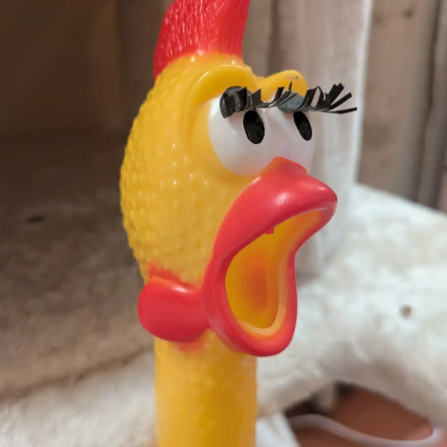 ハル
