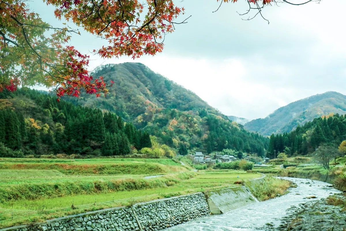 画像1
