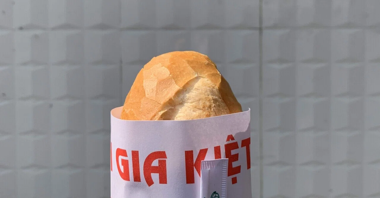 Daily Banh Mi Life: Background and Goals｜びす