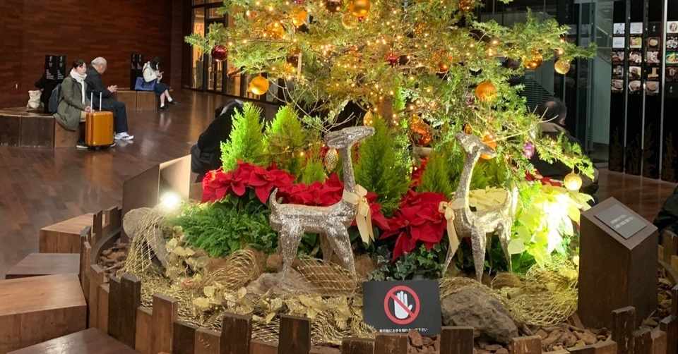 サンタさんからの贈り物 ニュイ 宇宙人の嫁 Note