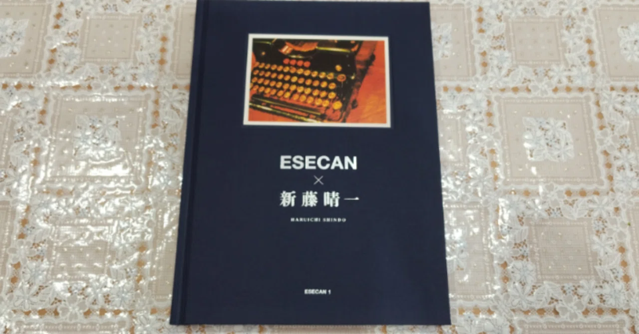 ESECAN×新藤晴一（アートブック）｜真咲ともか