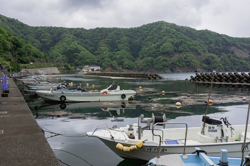魚を死ぬほど食べたければやっぱり海辺の民宿でしょ という結論 ぜいぜい Note 魚を死ぬほど食べたければやっぱり海辺の民宿でしょ という結論 ぜいぜい Note