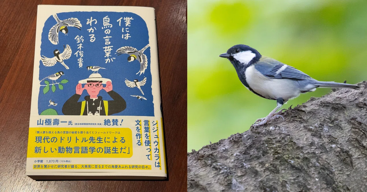 言葉を話すのは人間だけではない 「鳥語」を解明した科学者の物語