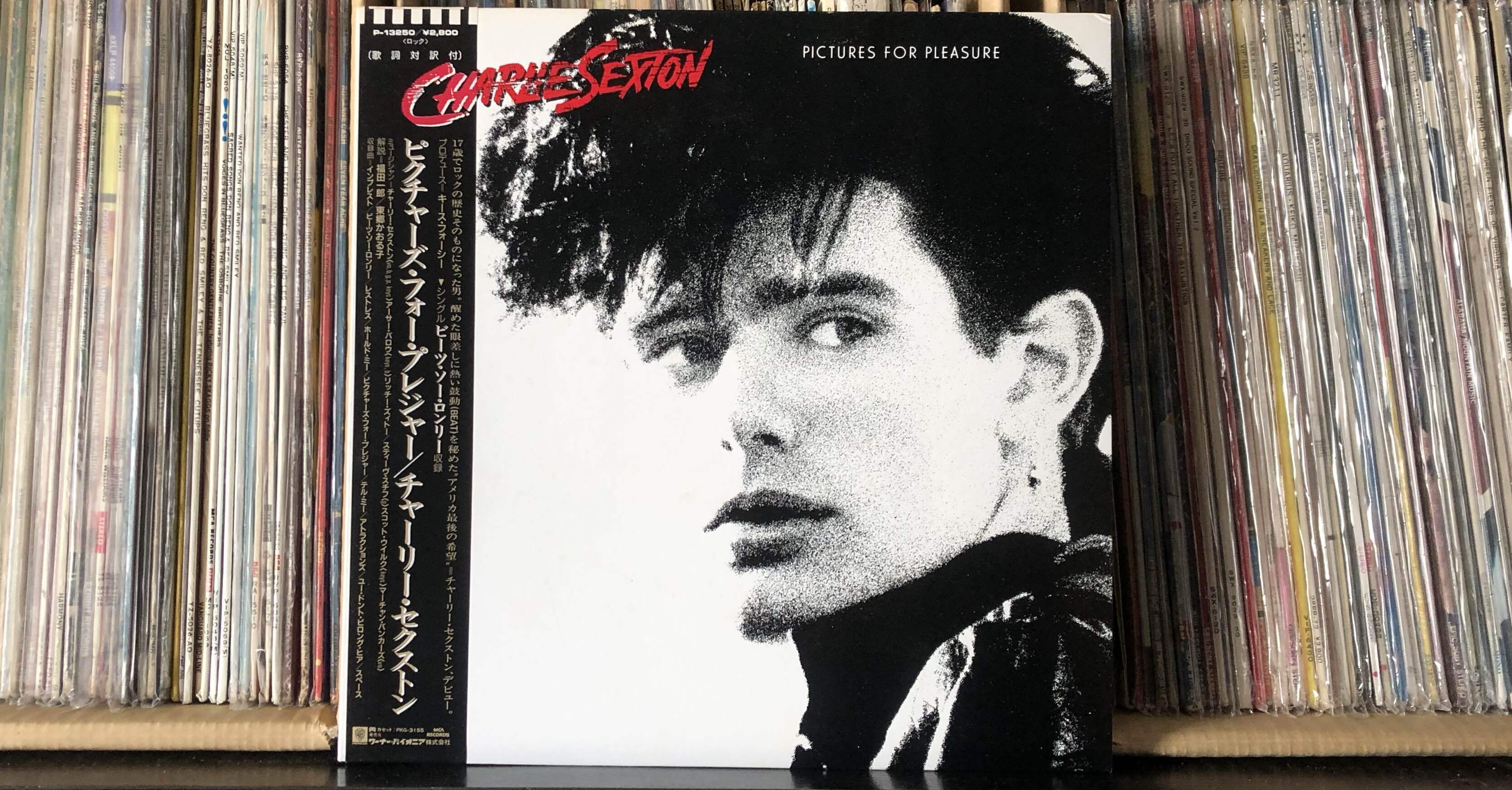 ピクチャーズ・フォー・プレジャー／チャーリー・セクストン ('85