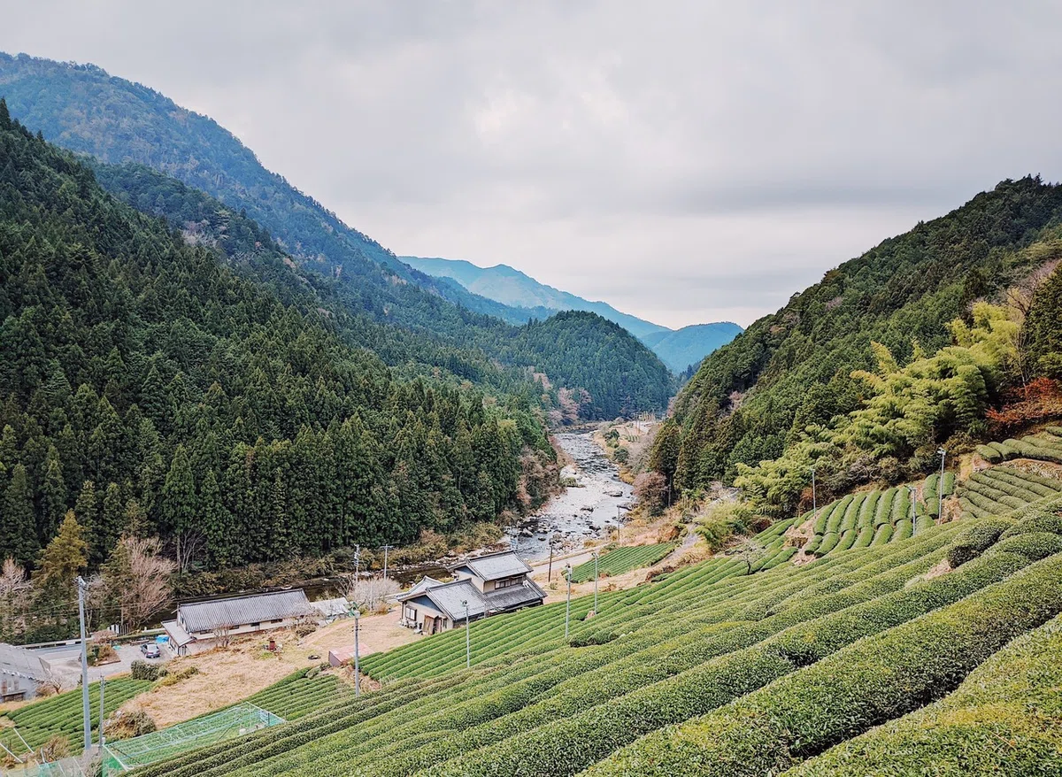 画像1