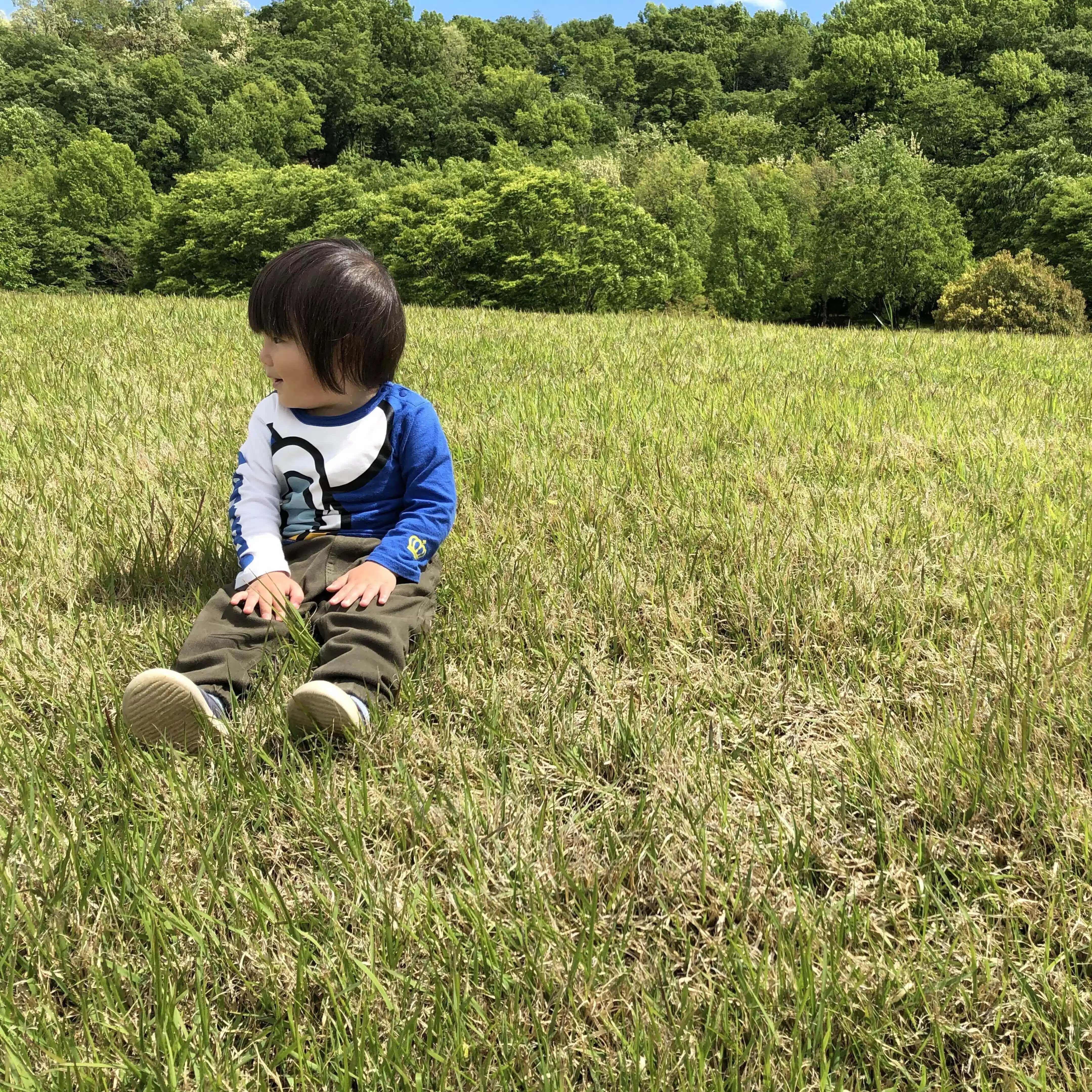 すまいるか