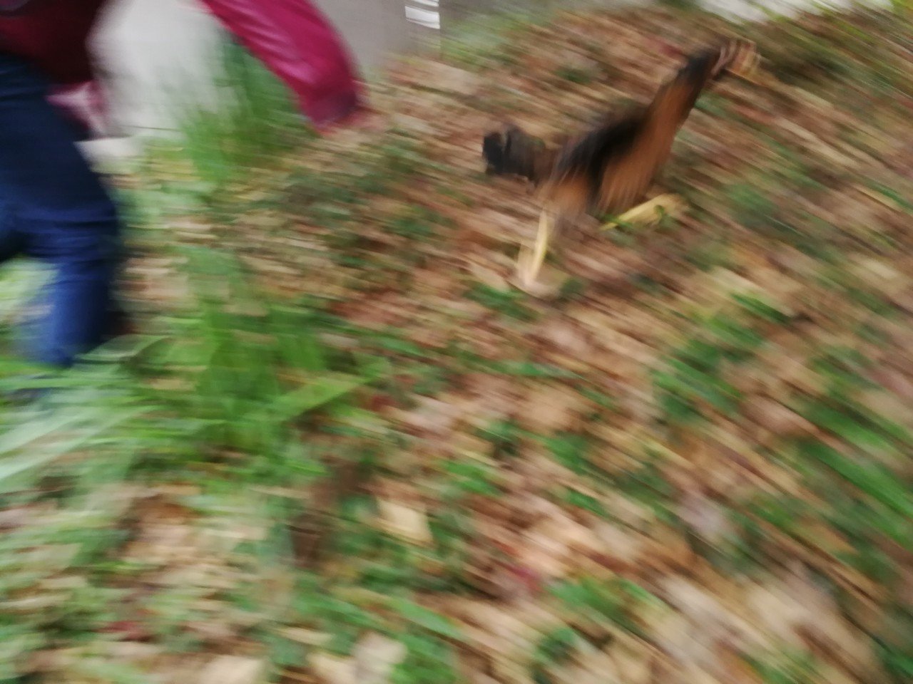 逃げる!|人生の旅人 鈴木 匠