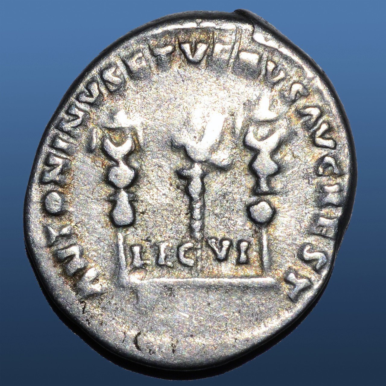 アンティークコインの世界 〜古代ローマのミステリーコイン〜｜Shelk🦋