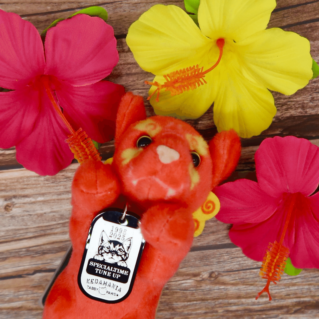 間違い…からの｜黒柳 能生 公式note