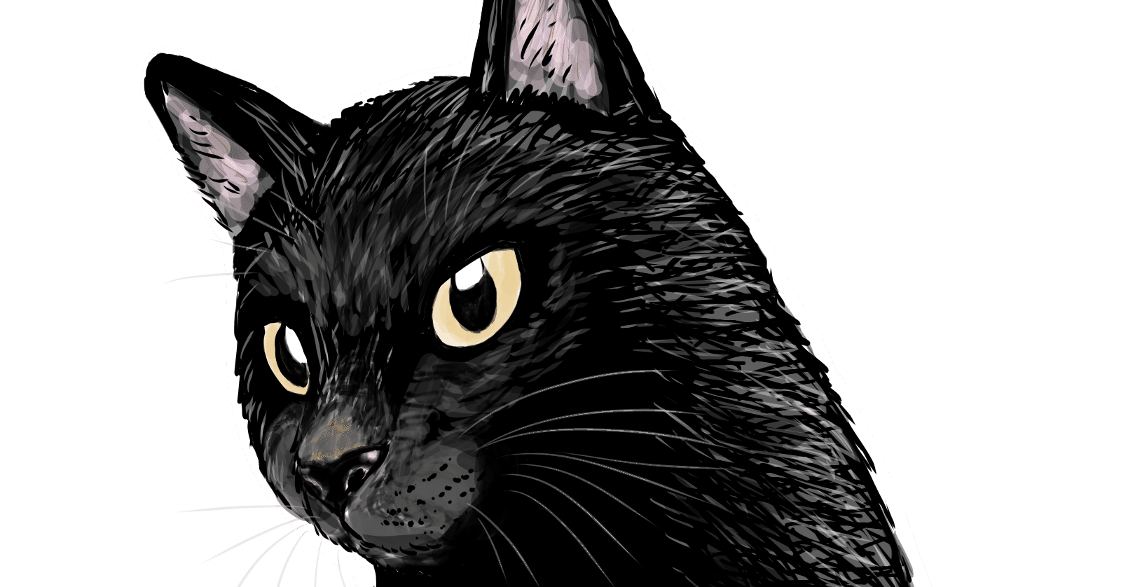 猫の絵をSUZURIでグッズ化｜月澄狸