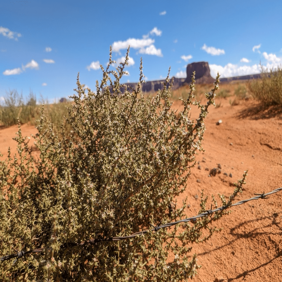 2023年9月アメリカ横断の旅DAY7-2 モニュメントバレーへ向かう！絶景