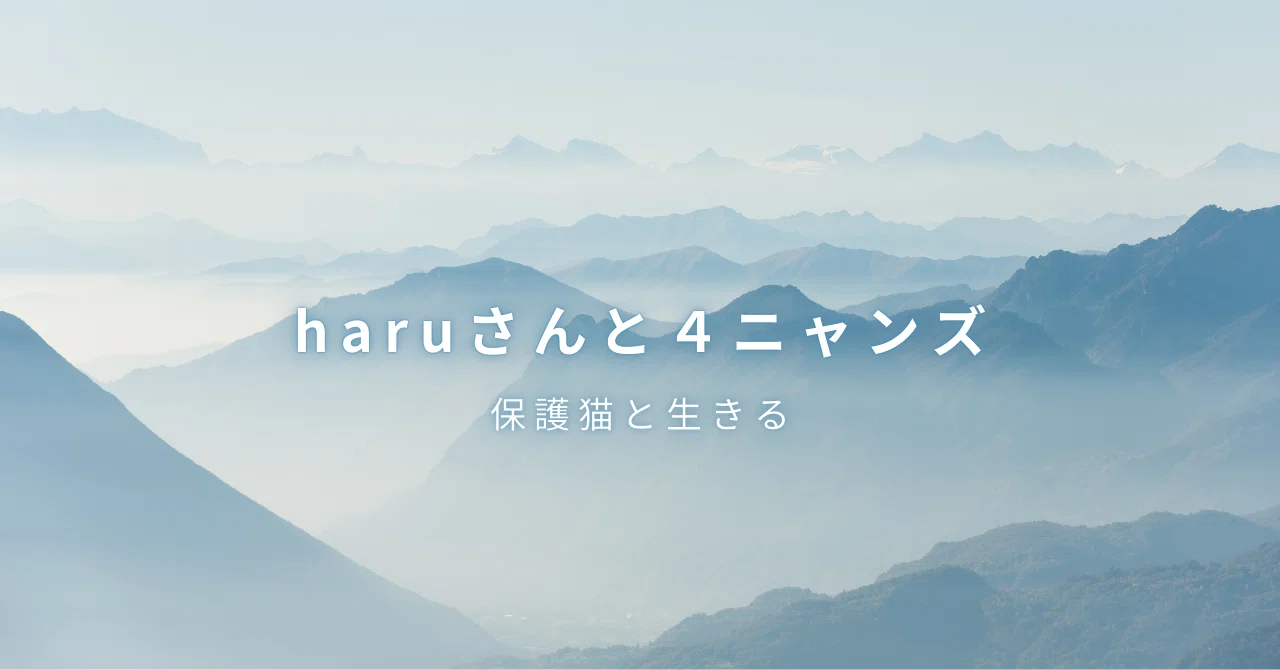ハルの恋｜harutorahuumii