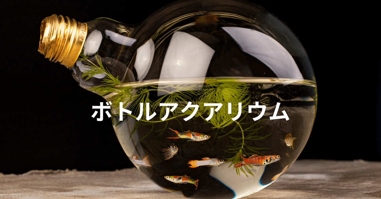 新鮮な水草 手のひらサイズ 新鮮な水草 手のひらサイズ 新鮮な水草 手のひらサイズ MIZUKUSA