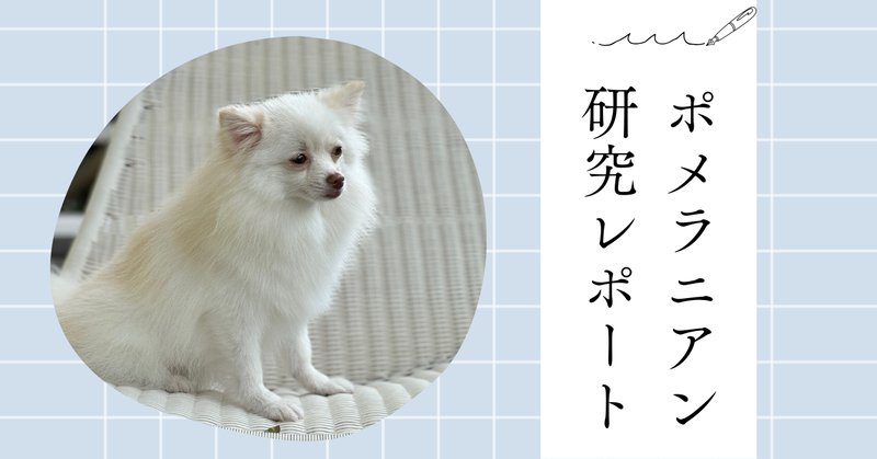福袋 オンライン ポメラニアン」の人気タグ記事一覧｜note ――つくる、つながる ジャケット・アウター