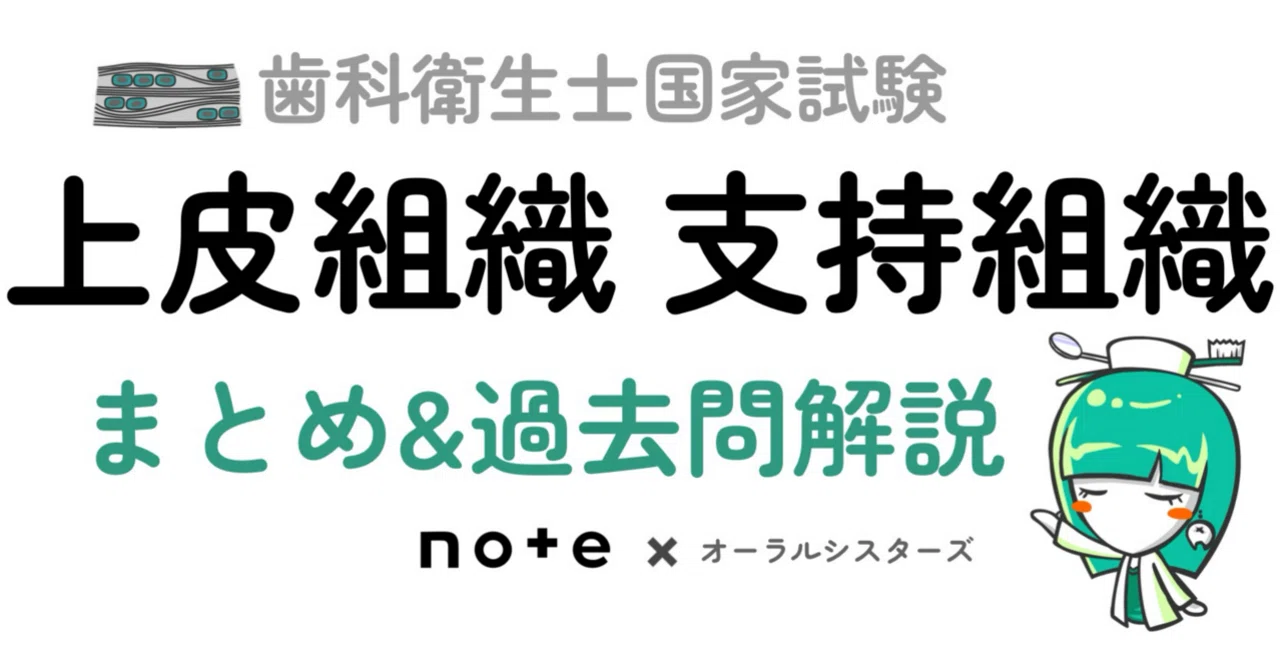 販売終了】上皮組織・支持組織PDF📄 歯科衛生士国家試験｜オーラル