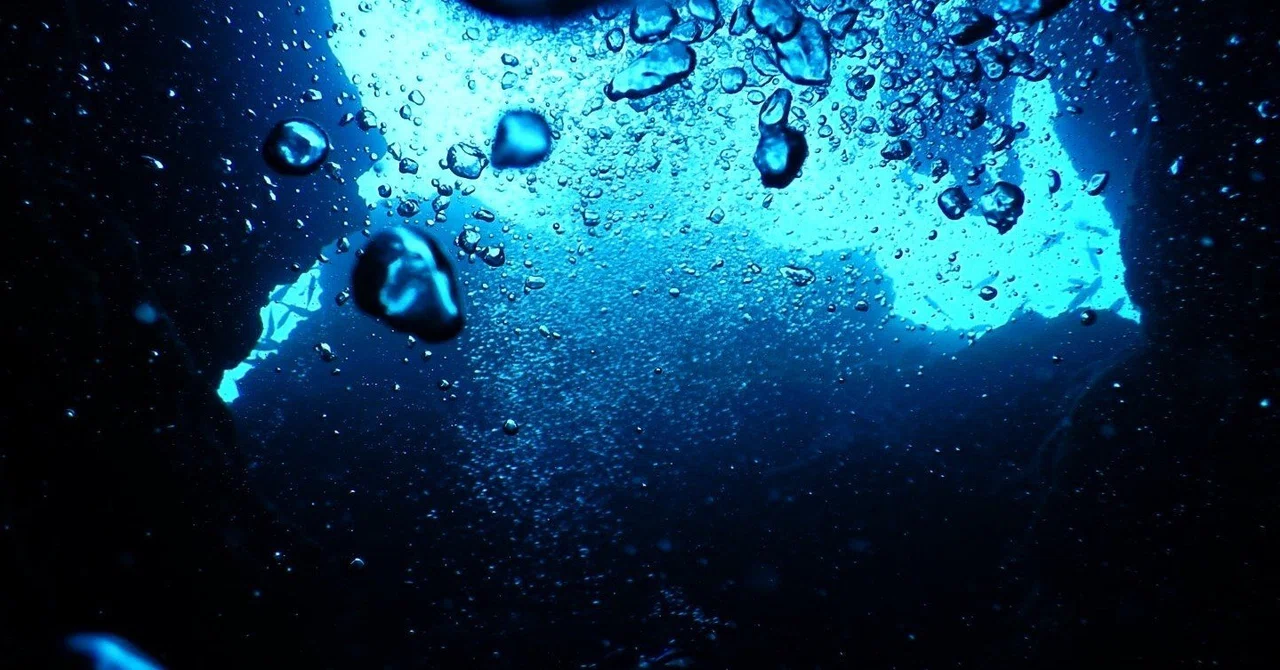 Fish Cannot See the Water｜NAGISA.