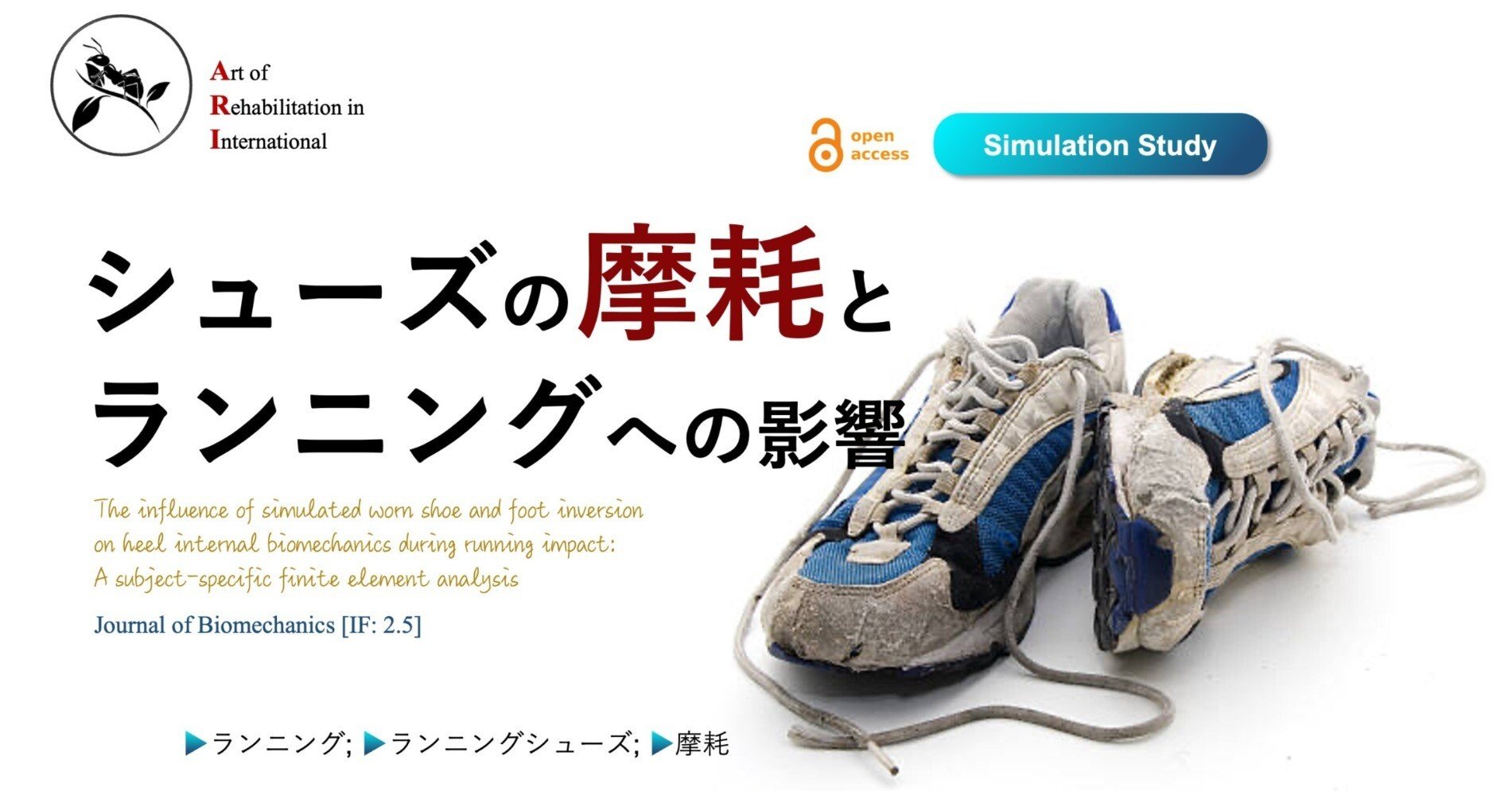 趣味・スポーツ・実用 Biomechanics of running shoes 67525d2880d4e255dd828f86eaab95