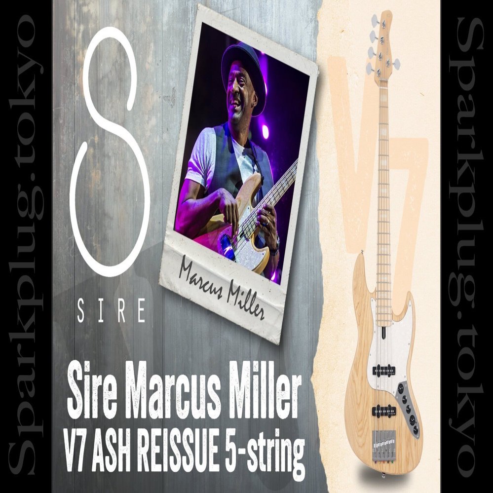 マーカス×Sireの大定番5弦ベースが「V7 ASH REISSUE 5-String」として
