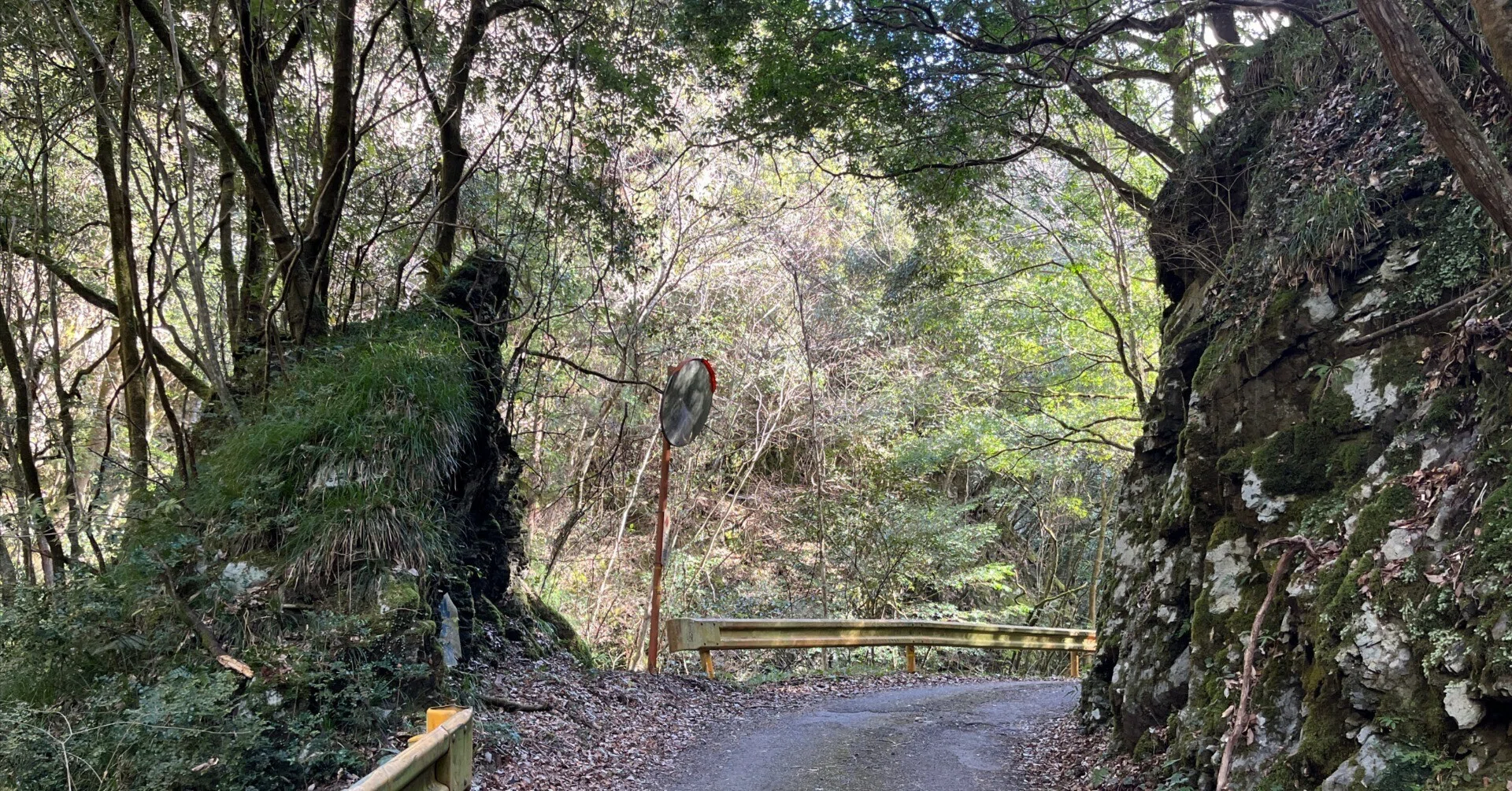 複数個口用❸ 山口県道134号秋掛錦線 不通区間 前編｜Asatteca