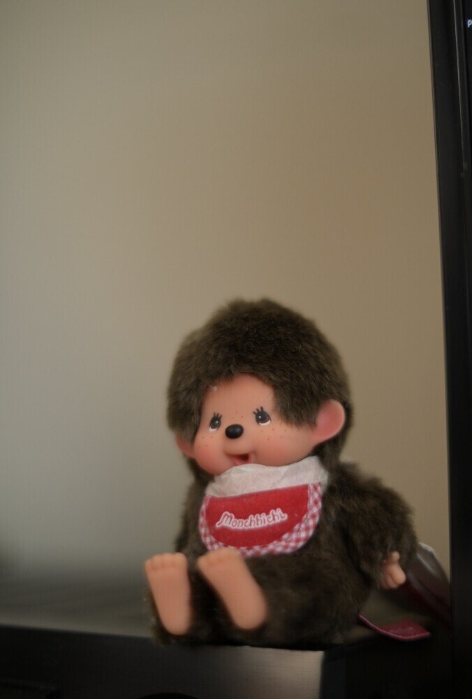 オレモン（俺のモンチッチ そう言えば昨日1月26日はモンチッチの日だっ